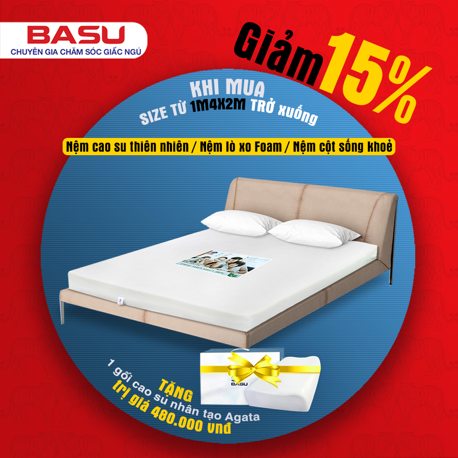 ️TẾT NHÂM DẦN - SALE RẦN RẦN