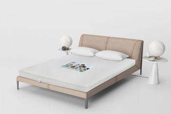 Nệm Cao Su Thiên Nhiên 1m6