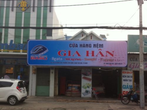 Đại Lý Nệm Thủ Đức, Tô Ngọc Vân